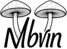 The MbVin logo